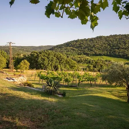 Appartement Apartma Belveder