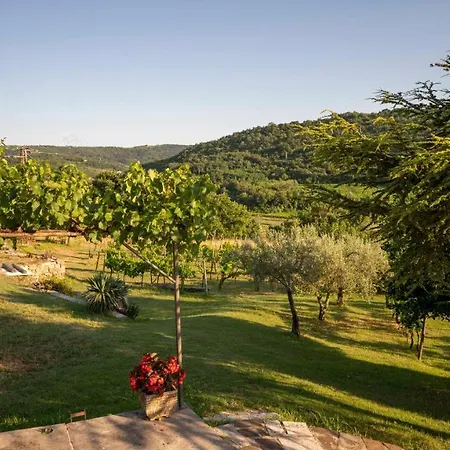 Apartma Belveder Izola