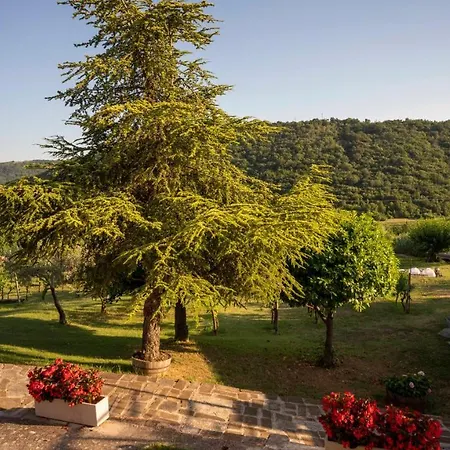 Apartma Belveder Izola