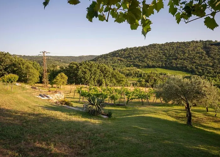 아파트 Apartma Belveder