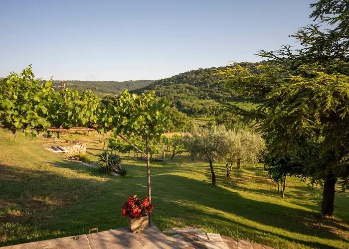 Apartma Belveder 이졸라