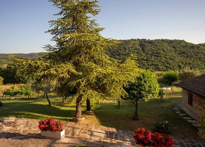 Apartma Belveder 이졸라